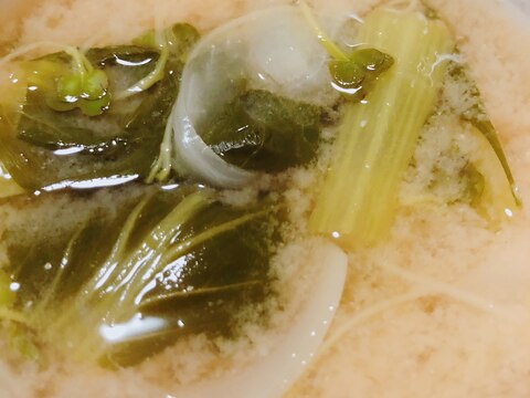 小松菜とカイワレ大根の味噌汁